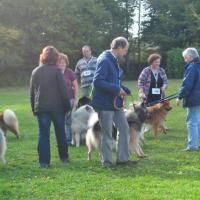 Album101 Ankörung der Eurasier von der Veitsburg in Sinsheim am 20.10.2012