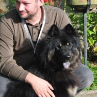 Album101 Ankörung der Eurasier von der Veitsburg in Sinsheim am 20.10.2012