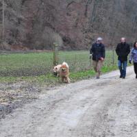 Links Cooper und Eyko-Jacomo. On the left Cooper and Eyko-Jacomo. A gauche Cooper et Eyko-Jacomo. 