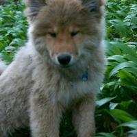 Album2006_04
