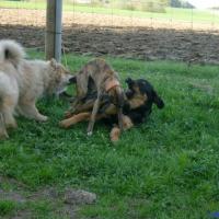 Album2006_05