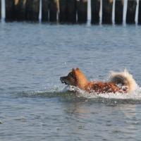 Album33 Schwimmen in der Ostsee