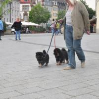 Balu und Einstein, auch die können es. 