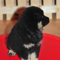 Album53, 7 Wochen u. zu wenig Hände für Fotos.