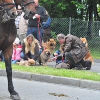 Die Eurasier von der Veitsburg im Rassezuchtverein Pro Eurasier sind schon was Besonderes! Der Züchter gibt sich hier sehr viel Mühe. Eben Pro Eurasier-like!