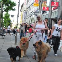 Wieder Lernen angesagt, die Königstraße in Stuttgart. 
I have to learn again, the 'Königstraße in Stuttgart'. 
Je dois apprendre encore, le 'Königstraße in Stuttgart'.
