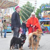 Das Rutenfest hat begonnen. Einstein ist zum ersten Mal auf dem Rummel. Ihn erschüttert kein Lärm, keine riesigen Fahrzeuge, er ist richtig cool. 
