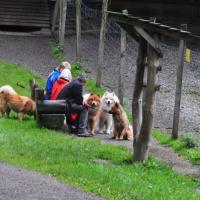 Ein kleines Bahnhof-Zoo-Treffen. Eyko-Jacomo's Züchterfrauli Ruth Hirschi aus Interlaken ist zu Besuch im ruateligen Ravensburg. 