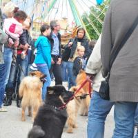 Mein Gott, sind da viele Menschen, da kann man kaum fotografieren. Balu, Bellissa, Eyko-Jacomo und Désirée. 