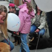 Die kleinen Eurasier von der Veitsburg haben es toll gemacht, sind durch die Menschenmassen des Rutenfestes gelaufen, waren auf dem Jahrmarkt mit den Fahrgeräten, dem wahnsinnigen Lärm und waren dabei so ruhig und gelassen, zeigten keine Ängstlichkeit, keine Geräuschempfindlichkeit. Sie waren einfach Spitze!!!