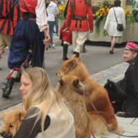 Album64 Der Rutenmontag 2011, Festumzug, Antrommeln und Adler- schießen