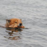 Tthe water was very cold, 13°. He looks happy.