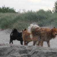 C'est bien, que peu de gens étaient sur la plage. 