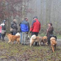 Album79 Ra- vensburger Weihnachts- feier, Besuch im Automuse- um. 27.11.2011