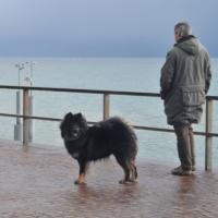 Einstein mit seinem Herrchen an der Promenade von Friedrichshafen. Einstein with his Daddy on the promenade of the Lake Constance in Friedrichshafen. Einstein avec son maître à la promenade du Lac de Constance à Friedrichshafen. 