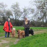 Album94 Monat April, Ostern, Eurasier- stammtisch