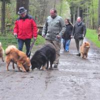 Album94 Monat April, Ostern, Eurasier- stammtisch