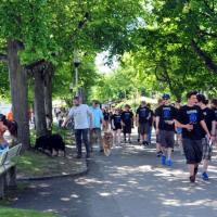 Album97 Jahrestreffen der Eurasier von der Veits- burg am 2. Juni 2012.