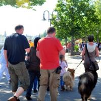 Album97 Jahrestreffen der Eurasier von der Veits- burg am 2. Juni 2012.