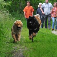 Die Beiden, Betty und Einsein, lieben sich immer noch so sehr. 