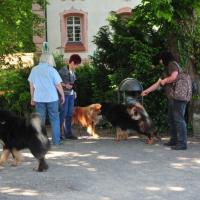 2. Juni 10.30, wir treffen uns auf der Veitsburg, hoch über Ravensburg. Und alle sind gekommen, alle 8 Kinderchen von Eyko-Jacomo und seiner Désirée. 