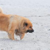 Oh, wie schön, der Strand, das Meer, die Luft, der Wind...!
