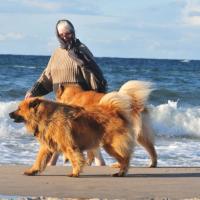 Album99 Unser erster Tag am Meer, our first day at the Baltic, notre jour premier au bord de la mer Baltique.